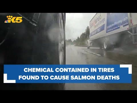 Chemical contained in tires found to be responsible for salmon deaths