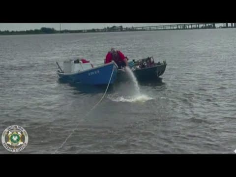 Couple rescued from Lake Maurepas, TPSO says