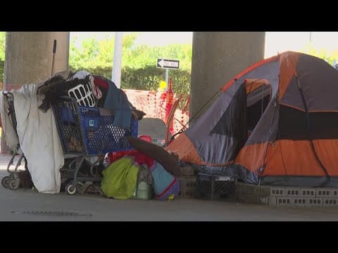 Court action blocks homeless sweep in New Orleans