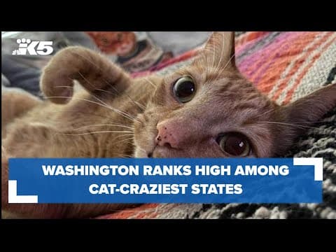 Report: Washington is cat crazy