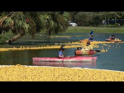 30,000 rubber ducks competed in 'Rubber Duck Derby', benefits local food bank