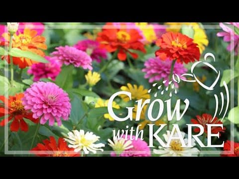 Grow with KARE: Late-blooming flowers