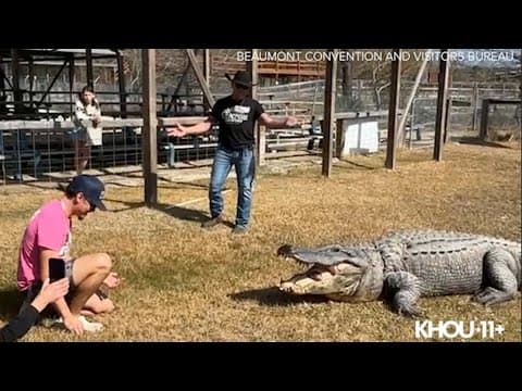 Did Big Al in Beaumont eat his steak on Sunday?  If not, it's six more weeks of winter!