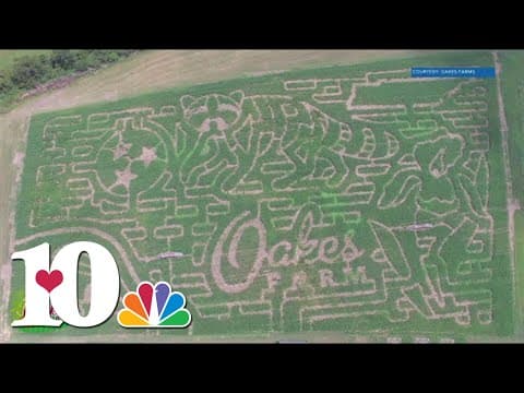 Oakes Farm releases 2023 corn maze design