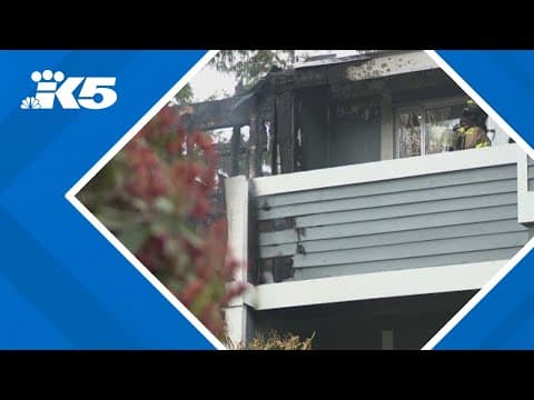 Lakewood apartment fire displaces 30 people, 7 pets