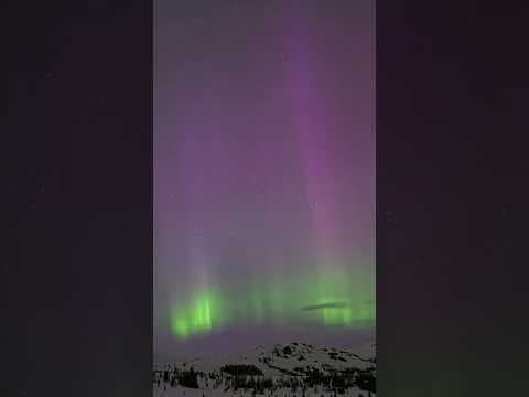 Geomagnetic storms disrupt farming equipment as aurora borealis dazzles