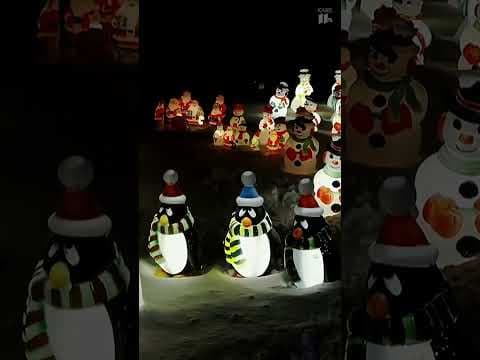 These homes in Cottage Grove are known for their incredible Christmas lights! #shorts #kare11 #mn