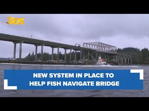 New system in place to help fish navigate Hood Canal Bridge