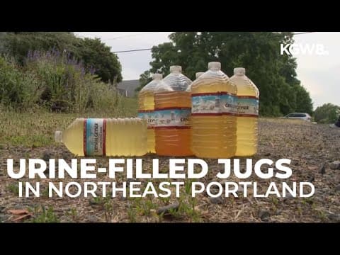 Neighbors find gallon jugs of suspected urine left in recycling bins