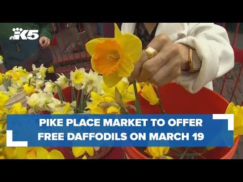 Pike Place Market to offer free daffodils to celebrate first day of spring