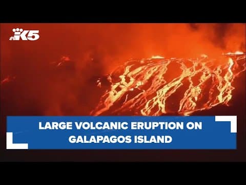 Volcano erupts on Galapagos island