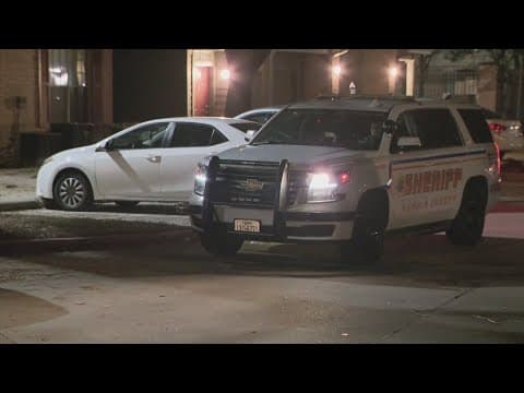 HCSO: Mother finds two sons shot to death in what they believe was murder suicide