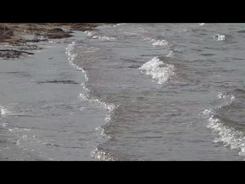 Nominate your 'Chesapeake Bay Hero' for the 2025 Admiral Award