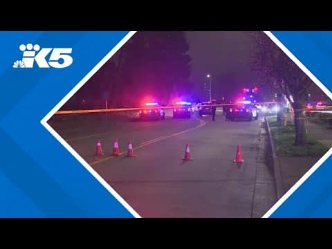 Traffic stop leads to deadly shooting in Auburn
