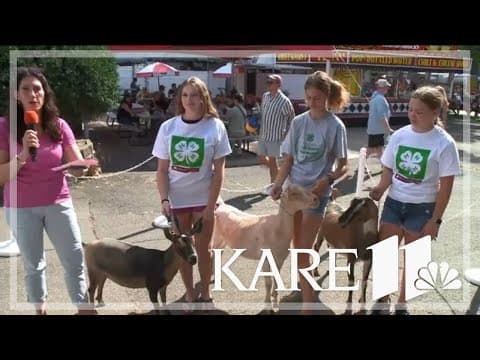 4H kids ready for the MN State Fair spotlight