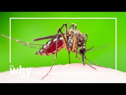 Why is Mother Nature not done threatening the Houston area?