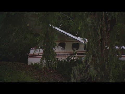 Pilot killed after small plane crashes into La Jolla hillside has been identified