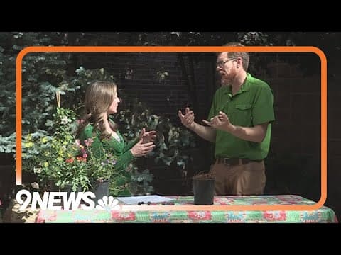 Summer gardening tips: Here's how to set your plants up for success in the heat