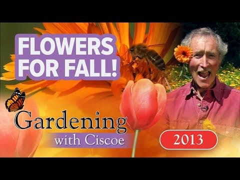 FALL FLOWERS! Prep Your Garden For Cool Weather Colors! | Gardening With Ciscoe | Full Episode