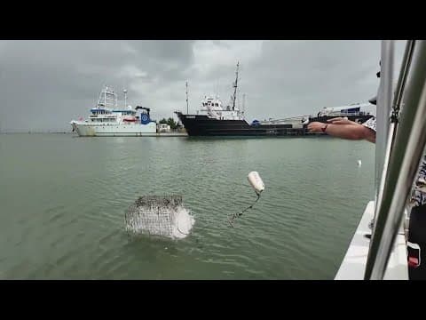 Researchers at Univ. of Delaware locate lost crab traps