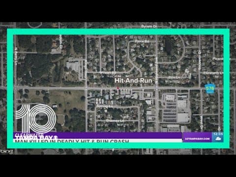 Man killed in hit-and-run crash in Clearwater