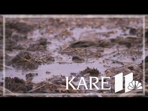 How is the recent rain affecting Minnesota's drought conditions?