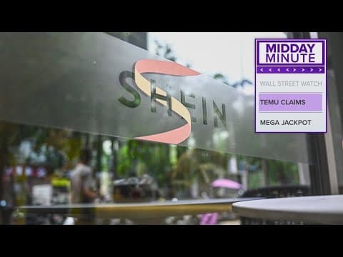 Regulators call for investigation into Shein, Temu