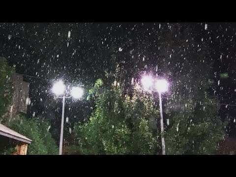 Here's what the snow looked like around the Twin Cities