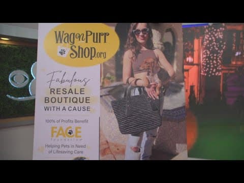 FACE Foundation's Wag N' Purr Shop