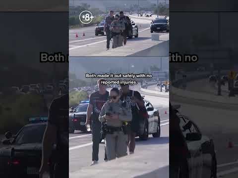 Small plane makes emergency landing on San Diego freeway