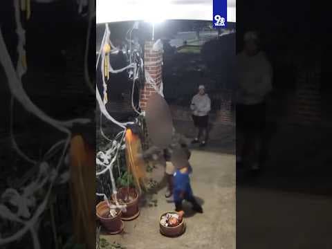 Kids caught stealing Halloween decorations with parents