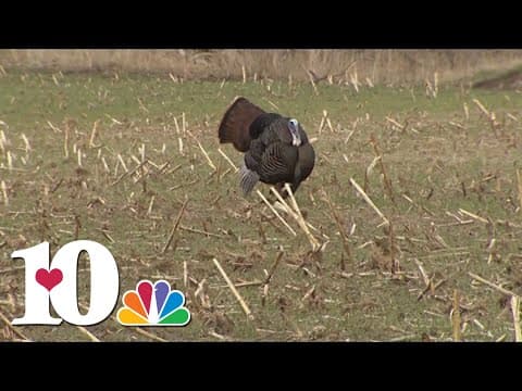 TWRA: New turkey hunting regulations for 2023