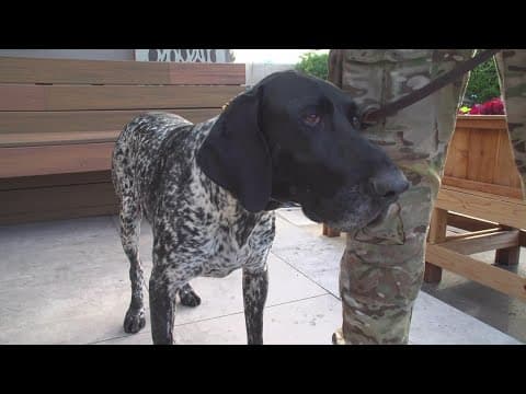 Fleet Week San Diego honors the men and women of the military