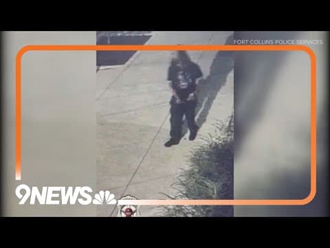 Police release video of suspect in Fort Collins homicide