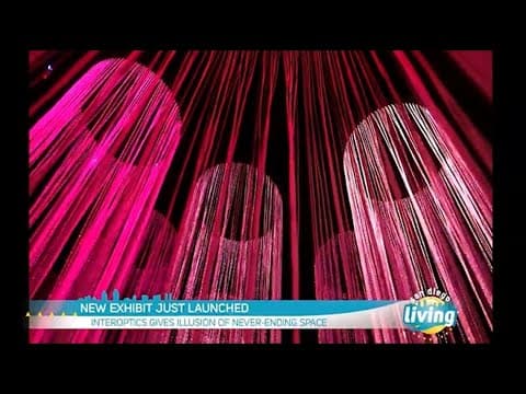 Immerse yourself in wonder at the WNDR Museum | Where visitors engage with art through sight, sound,