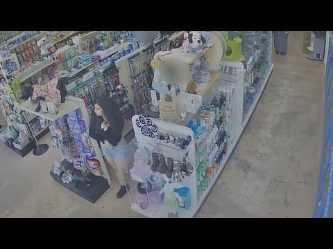 3 charged in pet store puppy theft caught on surveillance video