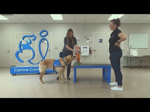 Rady Children's Hospital Working Fur Kids give-a-thon seeks donations for Resident Canine Therapy