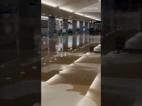 Part of Sea-Tac Airport closed Tuesday due to flooding #king5 #seattle #shorts