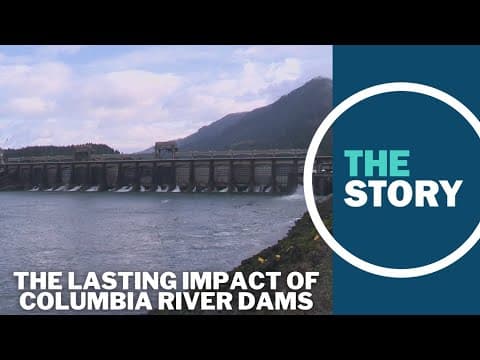 Columbia River dams caused loss of tribal sites and decline in salmon, feds acknowledge