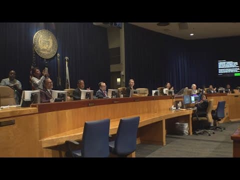 Our poll shows the two New Orleans at-large City Council races are polling quite differently