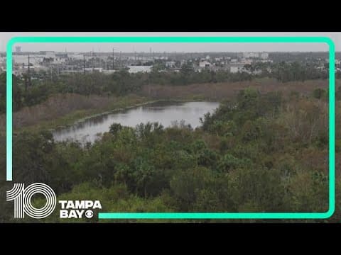 Manatee County Commission passes resolution to release wetland easements to local developer