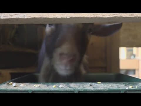 Why police rushed to a late-night call in Maine