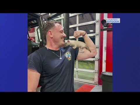 Kitten rescued from storm drain in Atascocita finds a forever home with firefighter