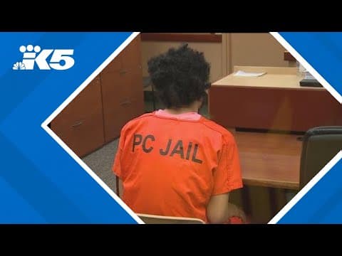 Man charged in Point Defiance Park stabbing not competent to stand trial