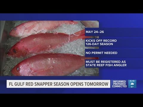 Heads up, anglers: Florida's 2025 recreational Gulf red snapper season will open for Memorial Day we