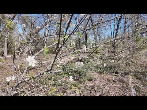 How to reduce impact of allergy season