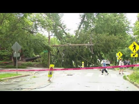 Pepco turns off power as tree falls on power lines in NW