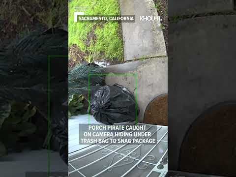Porch pirate uses trashy disguise to snag a package