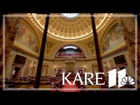 Minnesota Senate bill would create statewide Office of Inspector General to fight fraud