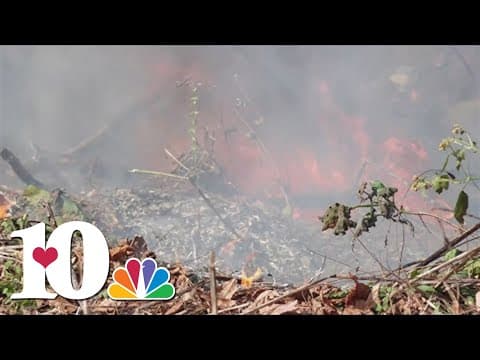Tennesseans will need a permit to burn debris, leaf piles